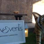 Lovevents, Evento Bruttea in Carrera 2016